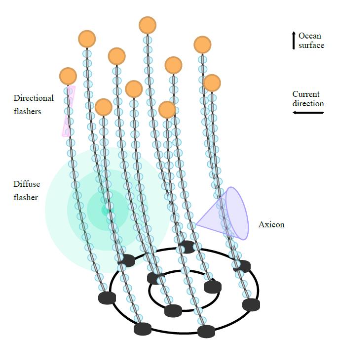 Conceptual view of the optical calibration systems planned for P-ONE