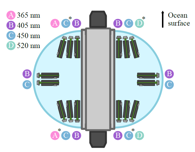 Optical module flasher layout with its multi-wavelength laser diodes